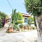 Cactus Living