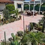 Cactus Living