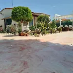 Cactus Living