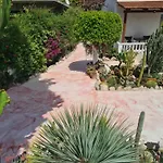 Cactus Living